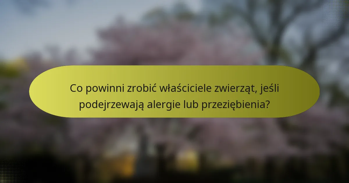 Co powinni zrobić właściciele zwierząt, jeśli podejrzewają alergie lub przeziębienia?