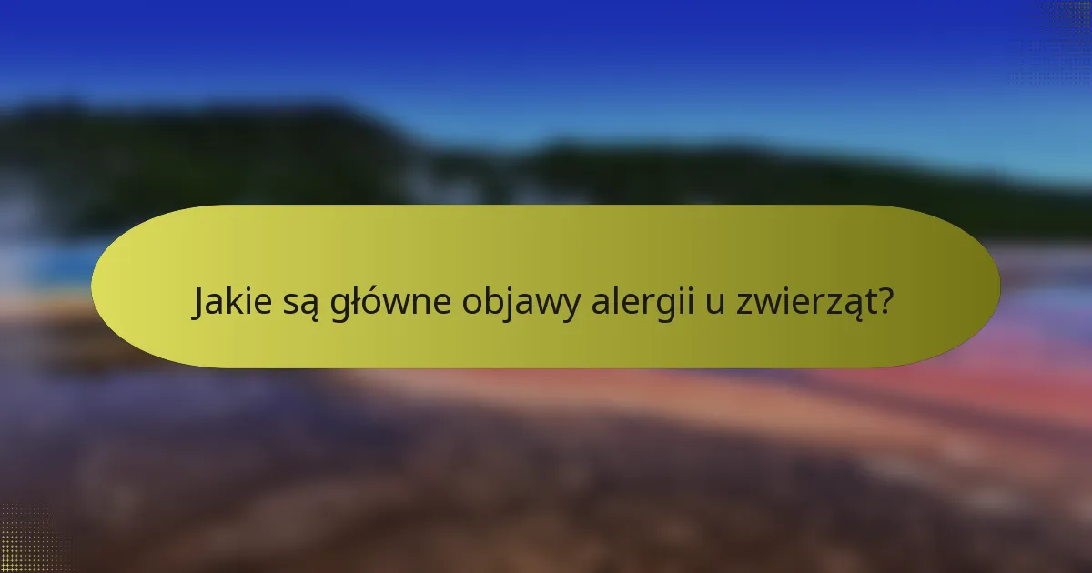 Jakie są główne objawy alergii u zwierząt?