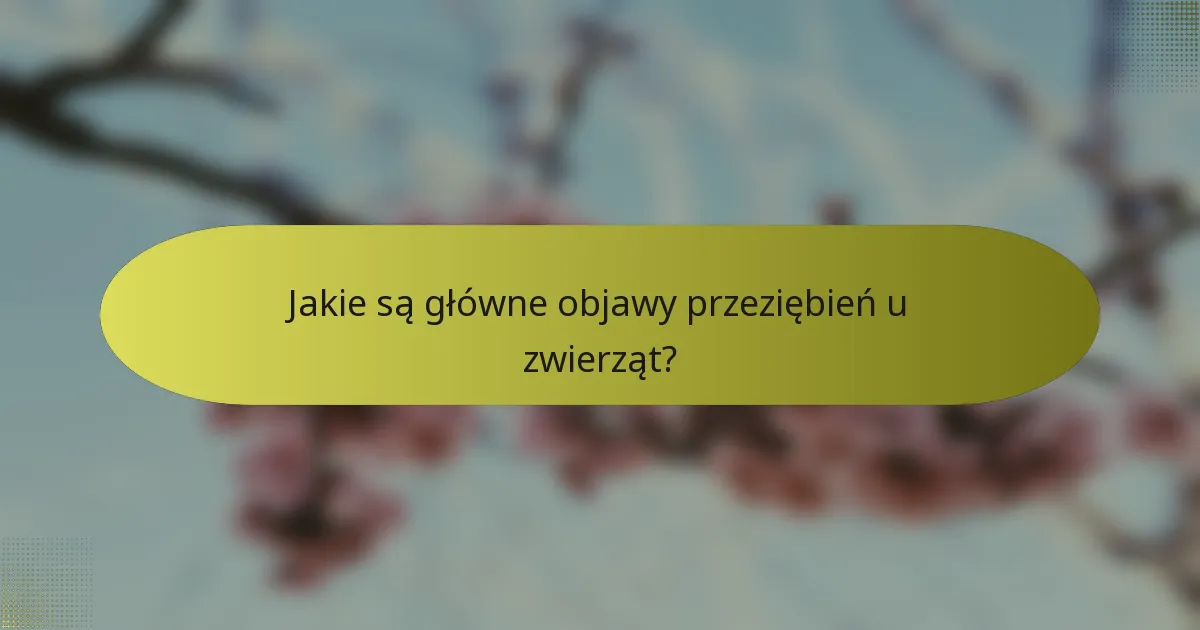 Jakie są główne objawy przeziębień u zwierząt?