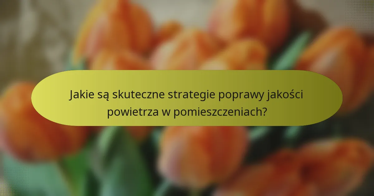 Jakie są skuteczne strategie poprawy jakości powietrza w pomieszczeniach?